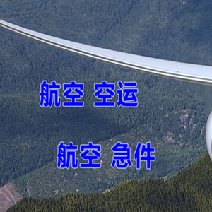 陇南成县航空邮寄快递-选东方航空和上海航空